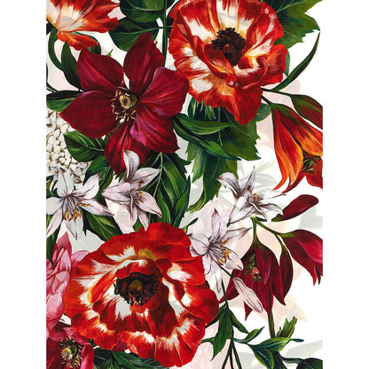 Dolce & Gabbana Multicolor Silk Foulard