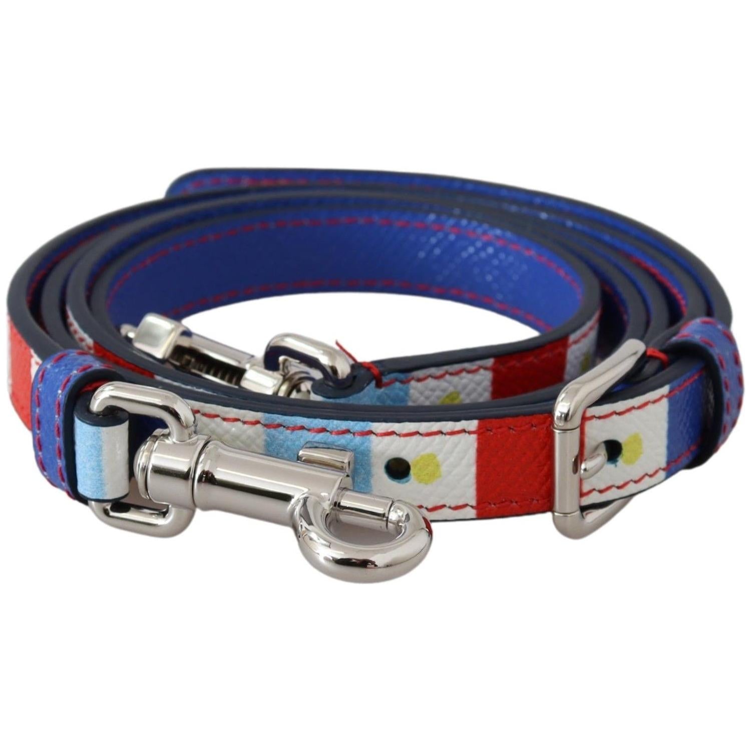 إكسسوار حزام كتف من الجلد متعدد الألوان من دولتشي آند غابانا