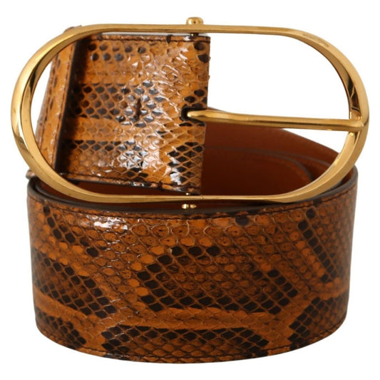 Dolce & Gabbana Elegant Python Skin Leather Belt WOMAN BELTS Dolce & Gabbana