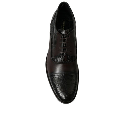 Dolce & Gabbana Brown Exotic Leather Formal Men Dress Shoes