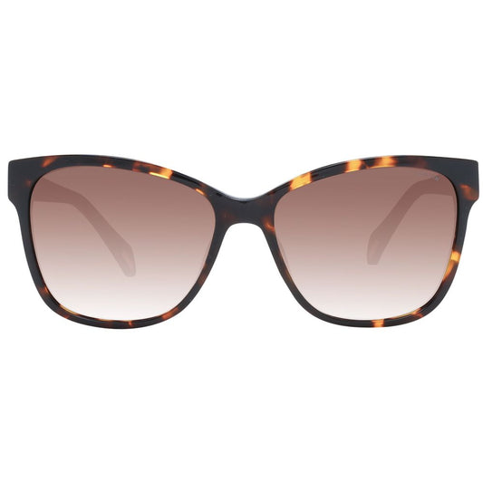 Police Brown Women Sunglasses Police