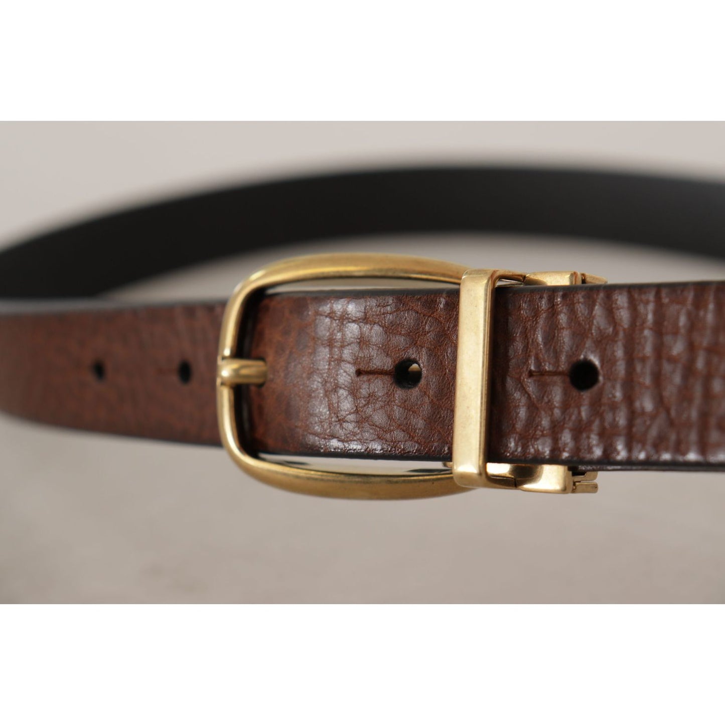 Dolce & Gabbana Brown Leather Classic Vintage Metal Buckle Belt