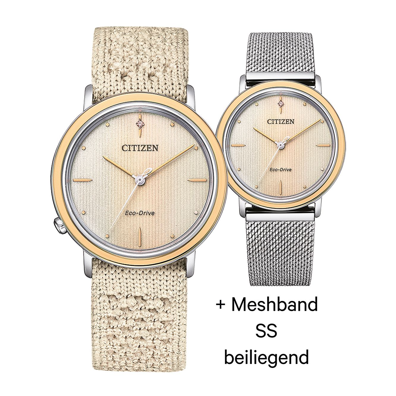 CITIZEN Mod. EM1006-40A