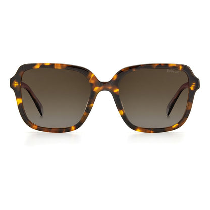 Polaroid Brown Acetate Sunglasses